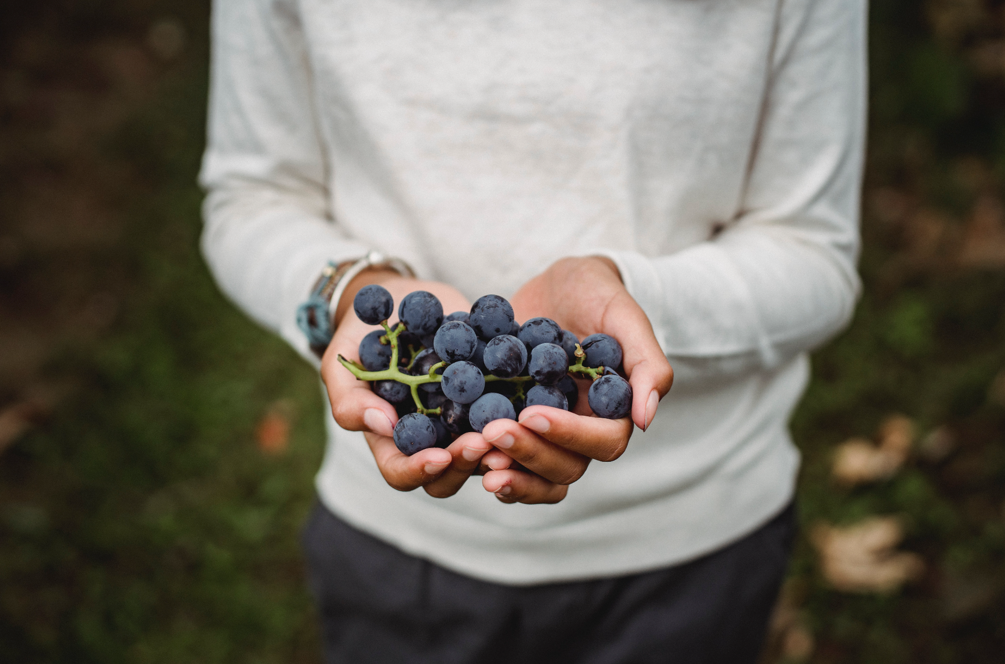 Möbius Bike vélo bambou cuir de raisin